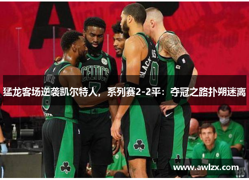 猛龙客场逆袭凯尔特人，系列赛2-2平：夺冠之路扑朔迷离