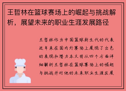 王哲林在篮球赛场上的崛起与挑战解析，展望未来的职业生涯发展路径